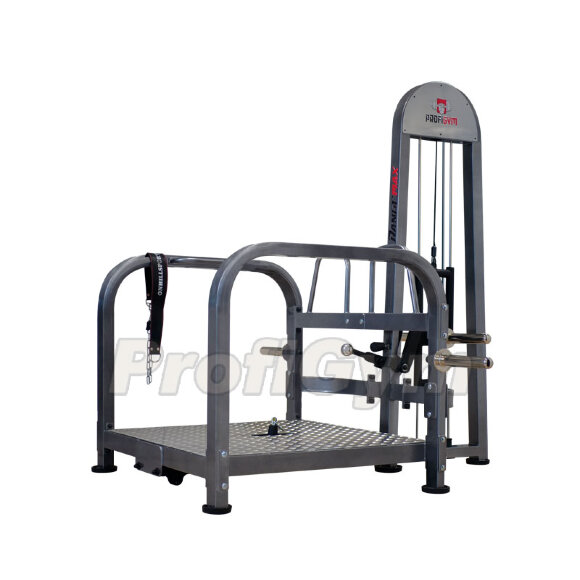 Тренажер колодец ProfiGym Тренажер колодец ProfiGym